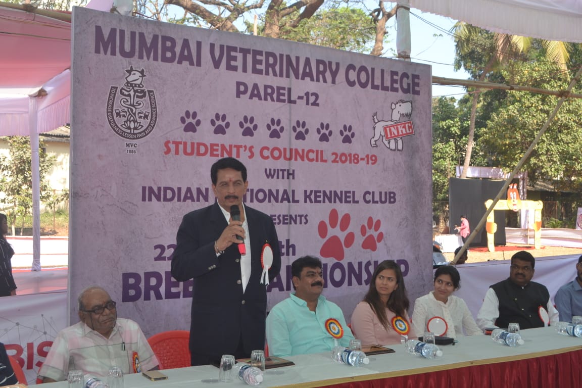 Inauguration Of Dog Show 2019